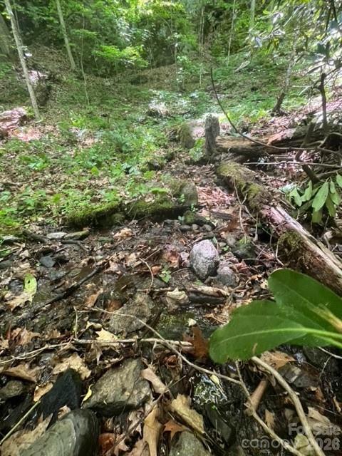 00000 Soco Road Maggie Valley NC 28751