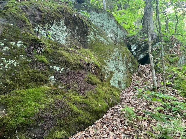00000 Soco Road Maggie Valley NC 28751