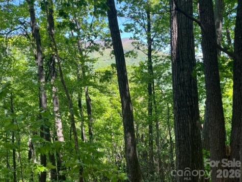 00000 Soco Road Maggie Valley NC 28751