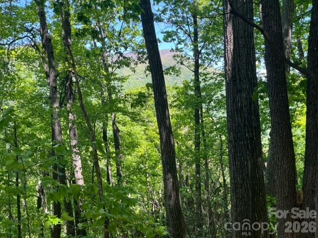 00000 Soco Road Maggie Valley NC 28751