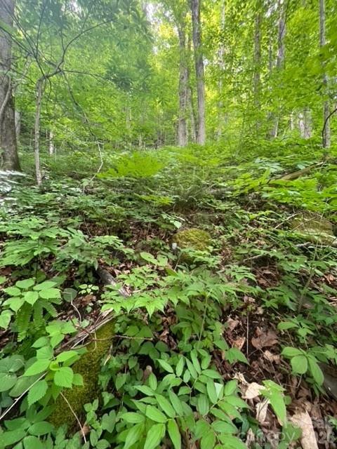 00000 Soco Road Maggie Valley NC 28751