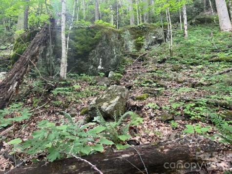 00000 Soco Road Maggie Valley NC 28751