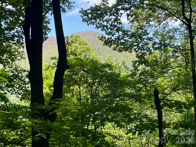 00000 Soco Road Maggie Valley NC 28751