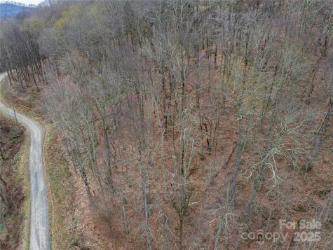 Lot 150 Puncheon Lane Mars Hill NC 28754