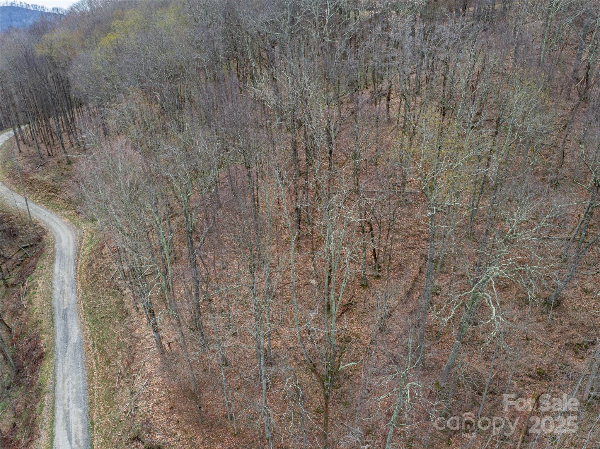 Lot 150 Puncheon Lane Mars Hill NC 28754