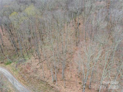 Lot 150 Puncheon Lane Mars Hill NC 28754