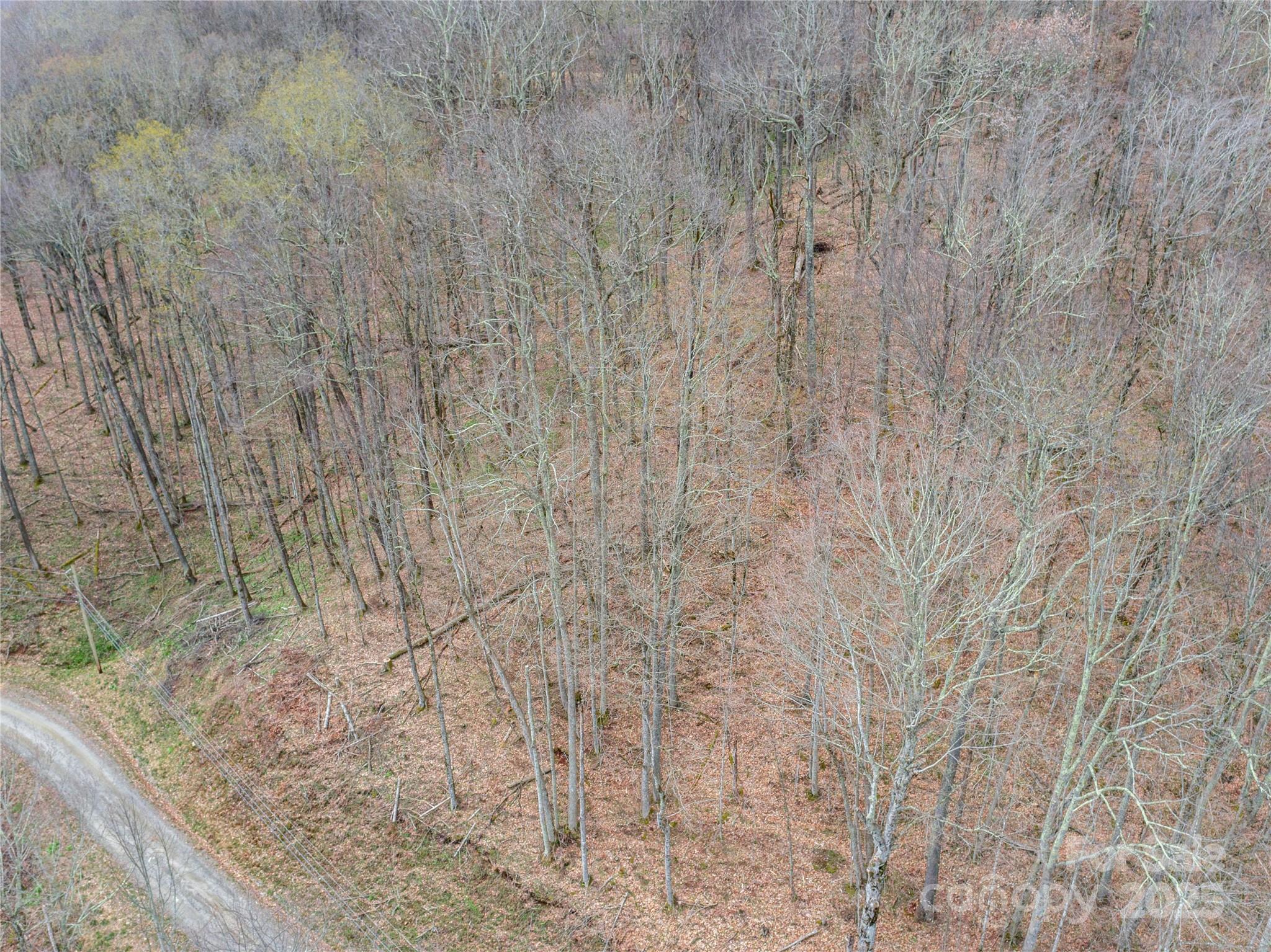 Lot 150 Puncheon Lane Mars Hill NC 28754