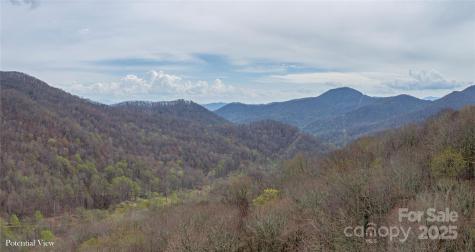 Lot 150 Puncheon Lane Mars Hill NC 28754