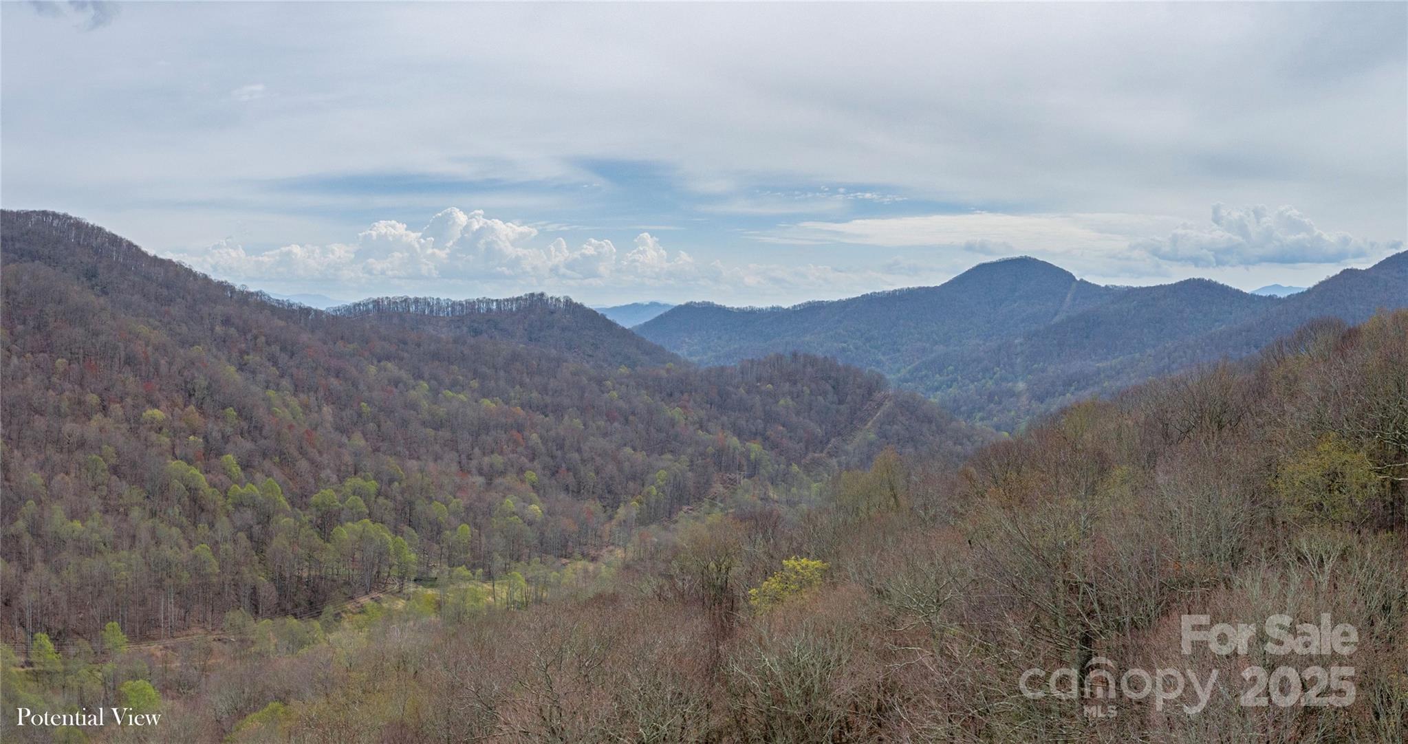Lot 150 Puncheon Lane Mars Hill NC 28754