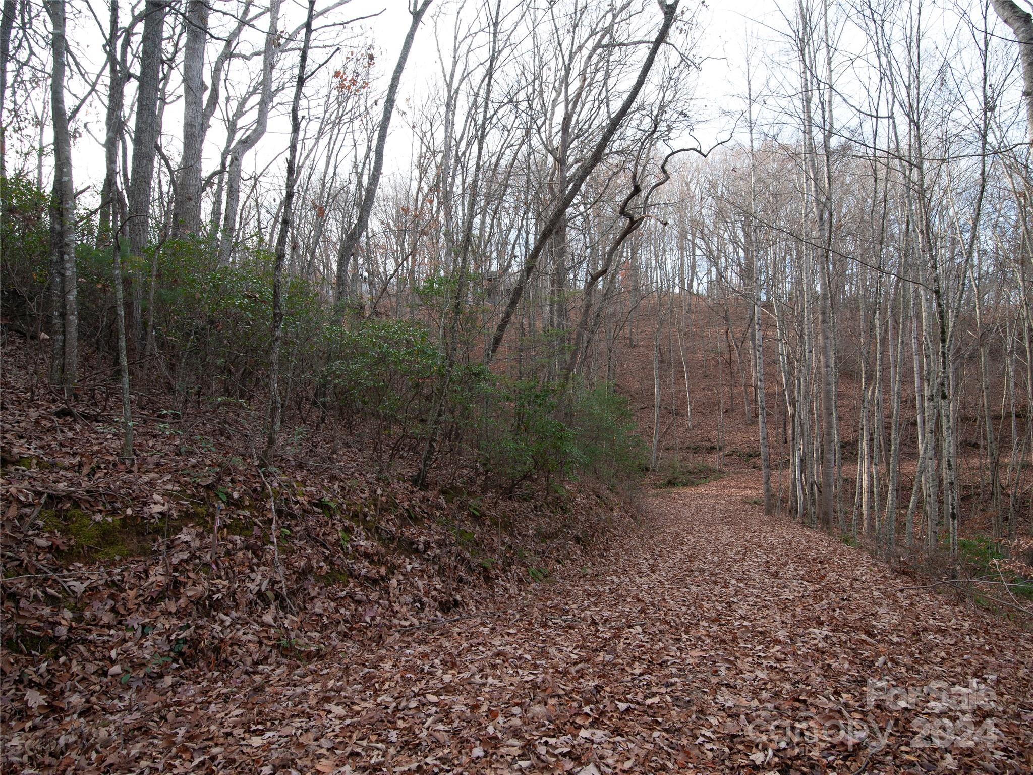 000 Beacon Rock Lane Waynesville NC 28786