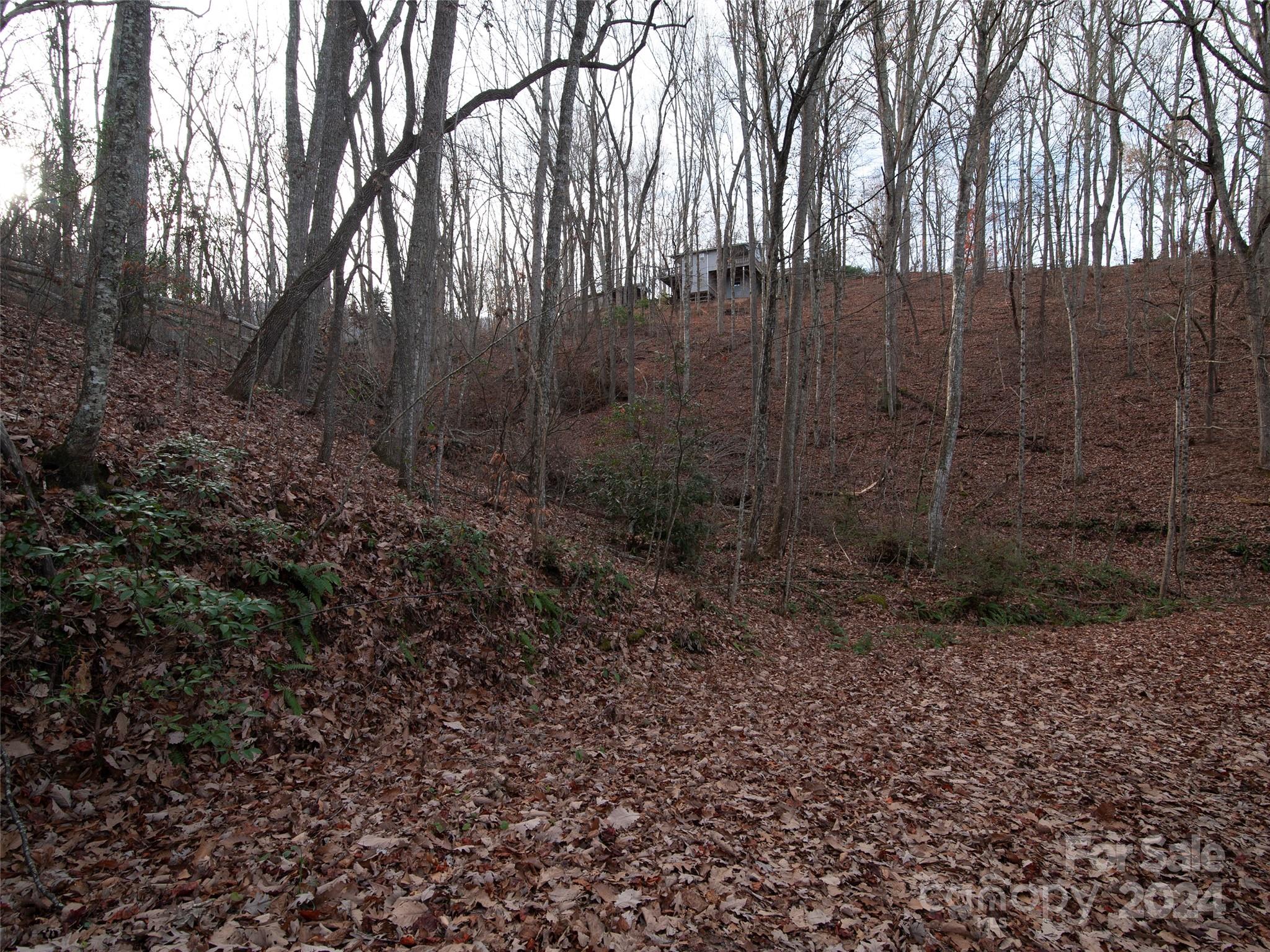 000 Beacon Rock Lane Waynesville NC 28786