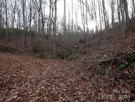 000 Beacon Rock Lane Waynesville NC 28786