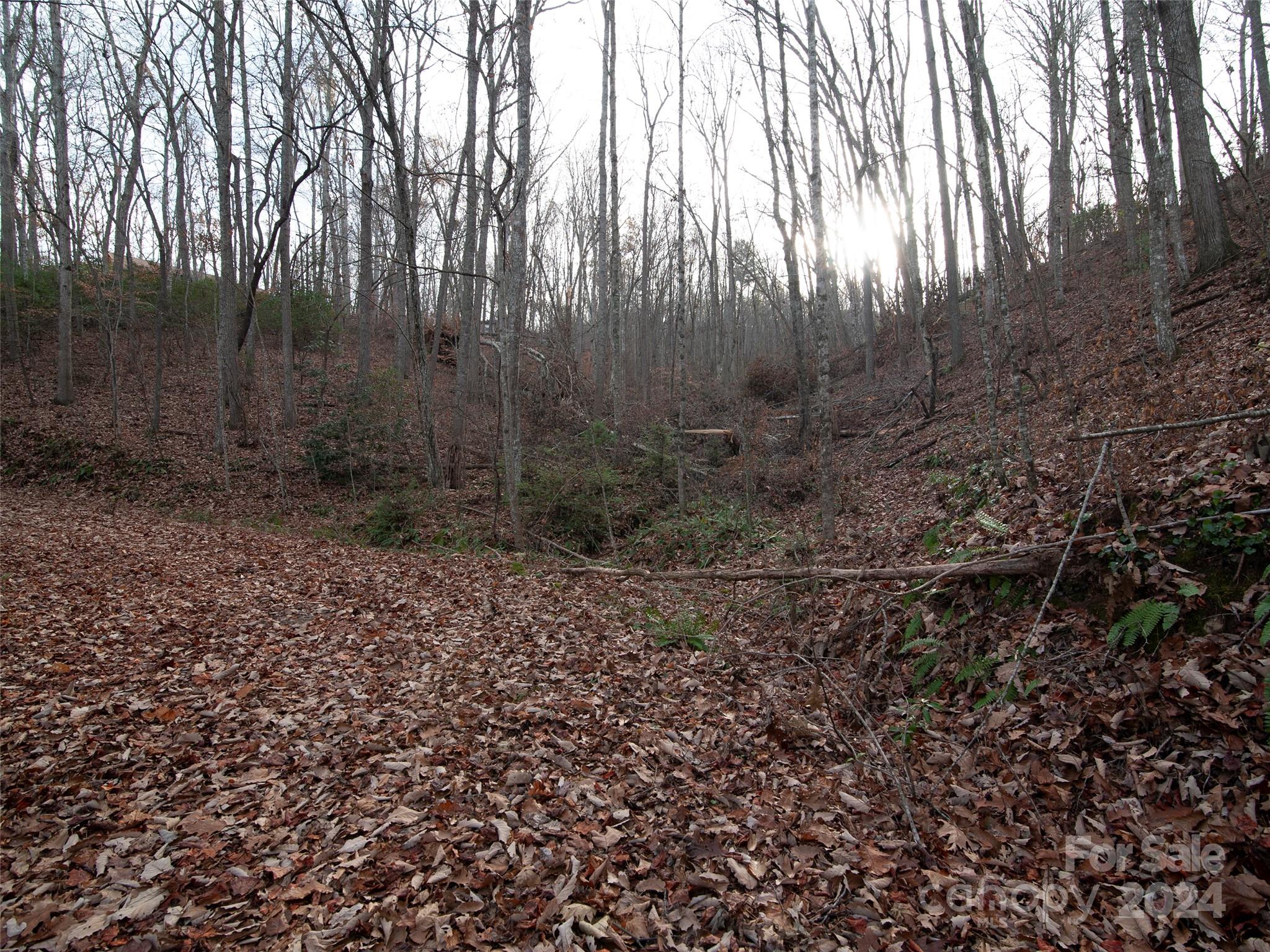 000 Beacon Rock Lane Waynesville NC 28786