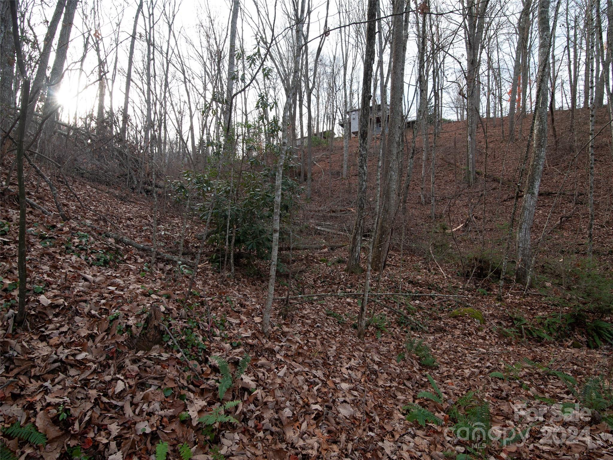 000 Beacon Rock Lane Waynesville NC 28786