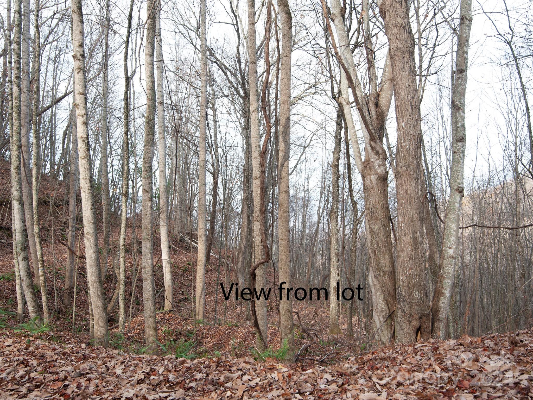 000 Beacon Rock Lane Waynesville NC 28786