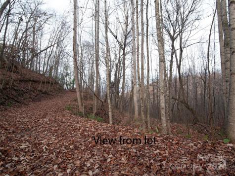 000 Beacon Rock Lane Waynesville NC 28786