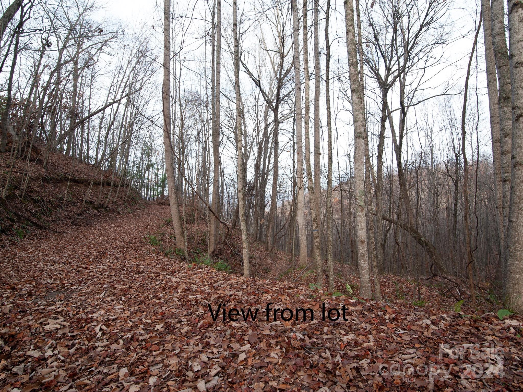 000 Beacon Rock Lane Waynesville NC 28786