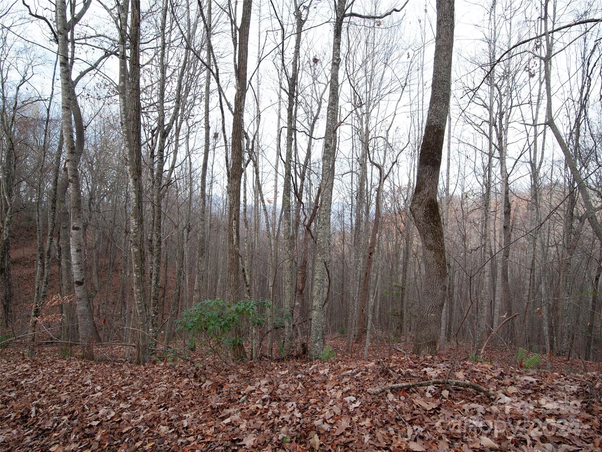 000 Beacon Rock Lane Waynesville NC 28786