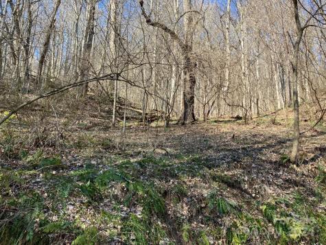 00 Wahwah Way Waynesville NC 28785