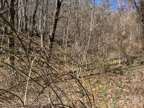 00 Wahwah Way Waynesville NC 28785