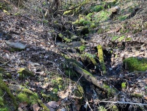 00 Wahwah Way Waynesville NC 28785