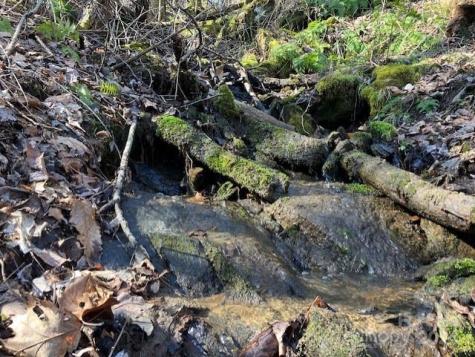 00 Wahwah Way Waynesville NC 28785