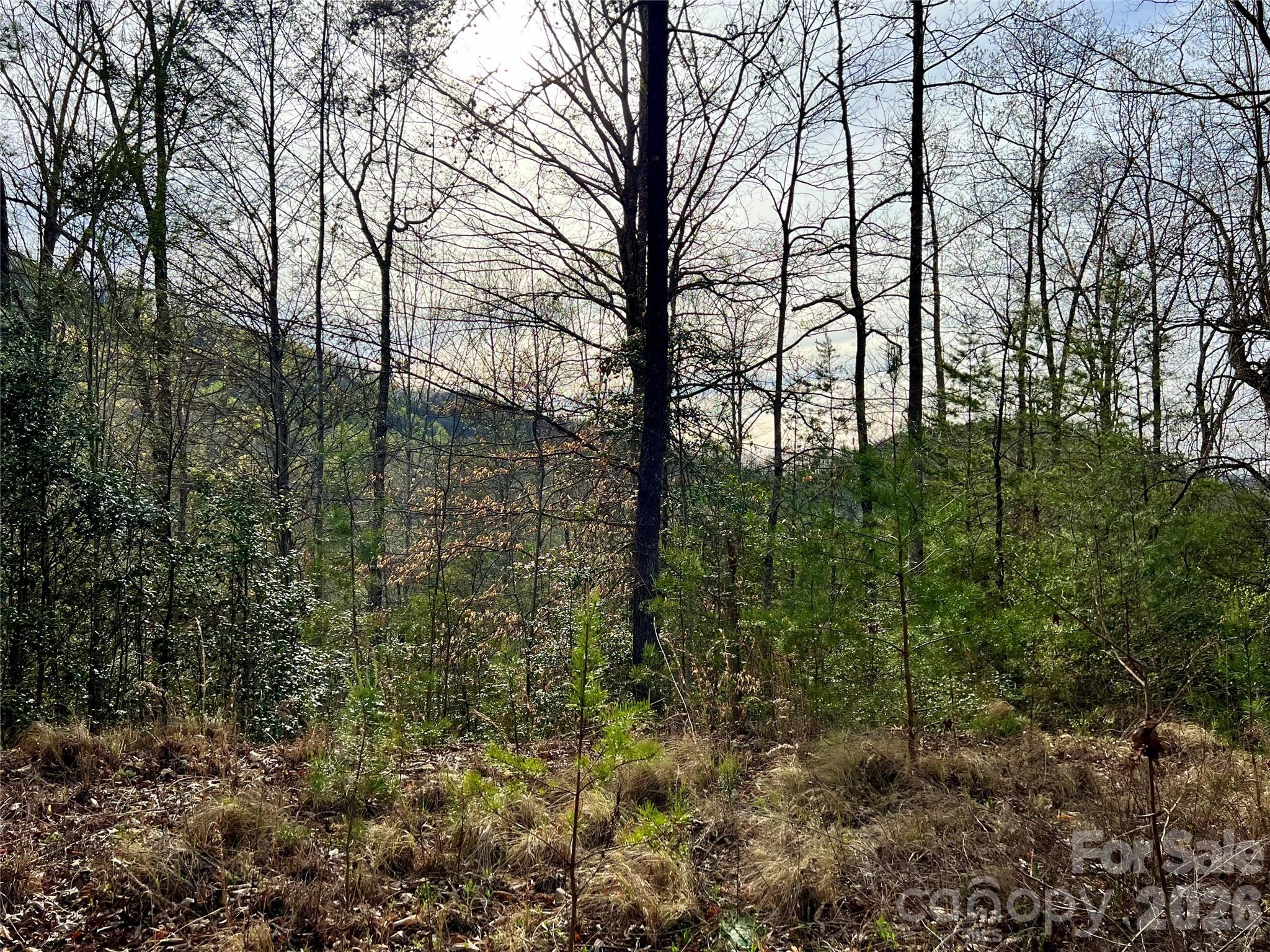 00 Lupine Lane Franklin NC 28734