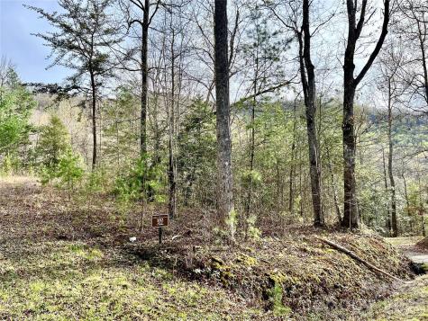 00 Lupine Lane Franklin NC 28734