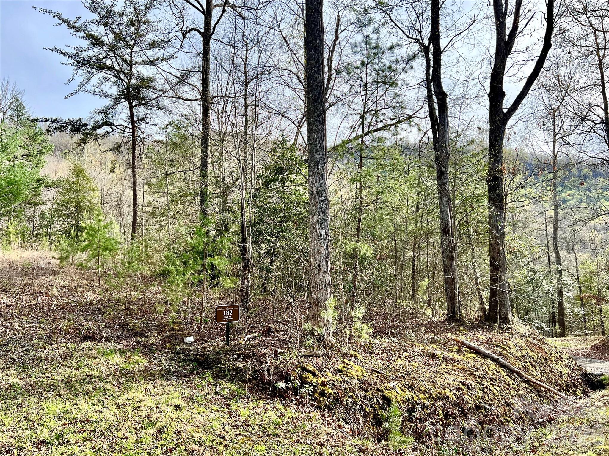 00 Lupine Lane Franklin NC 28734