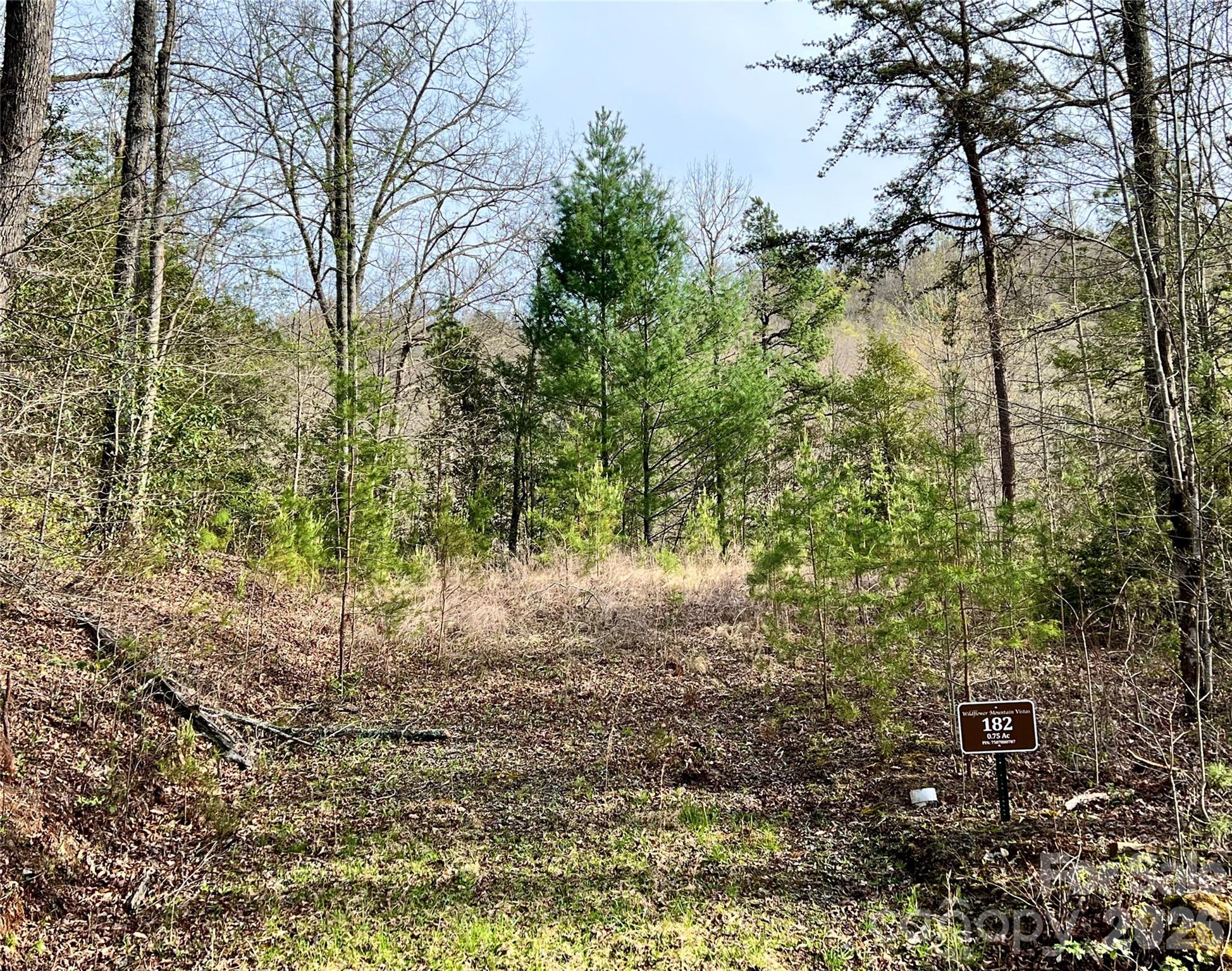 00 Lupine Lane Franklin NC 28734