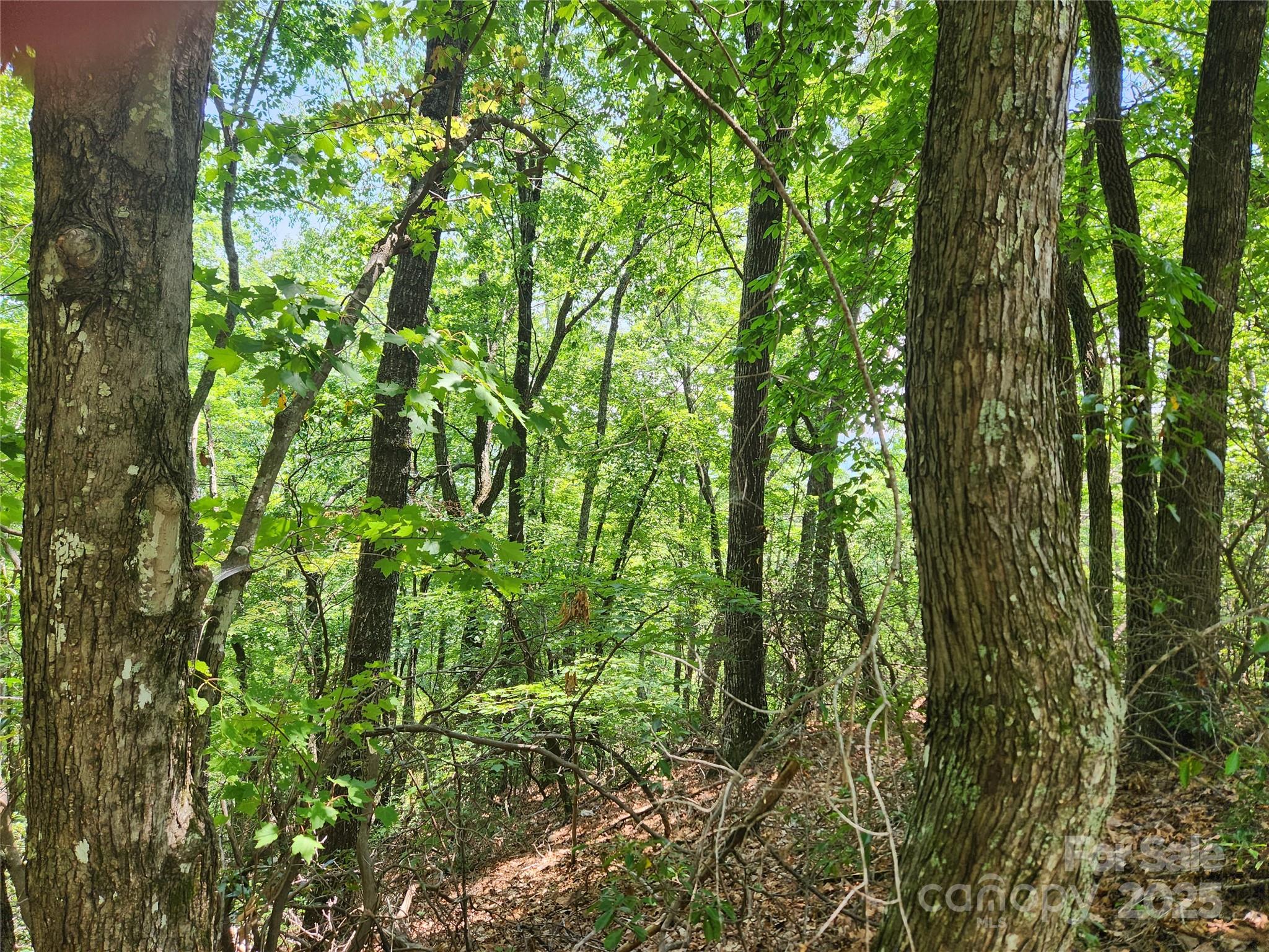 Lot 117, 118, & 132 Summit Court Lake Lure NC 28746