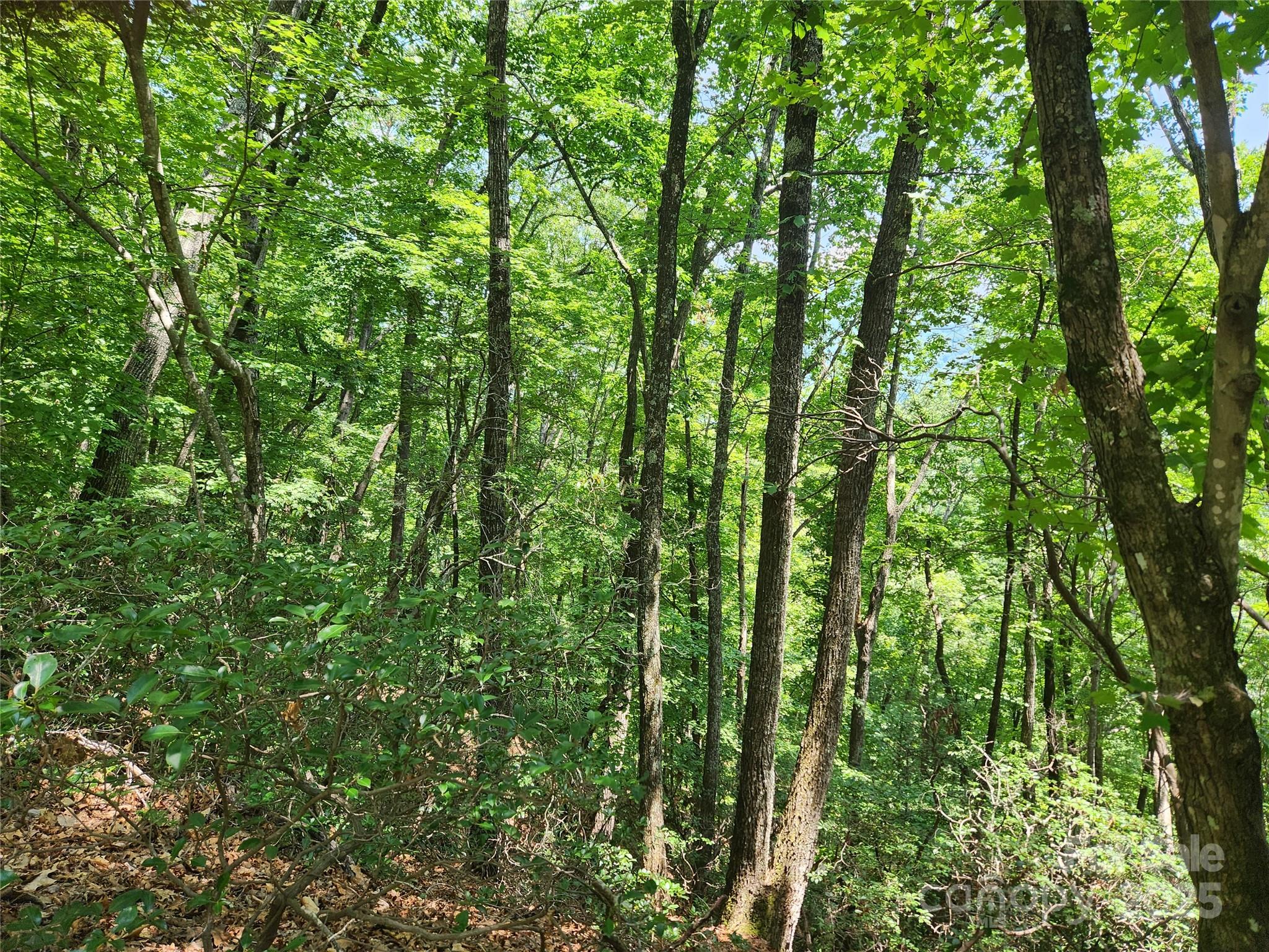 Lot 117, 118, & 132 Summit Court Lake Lure NC 28746