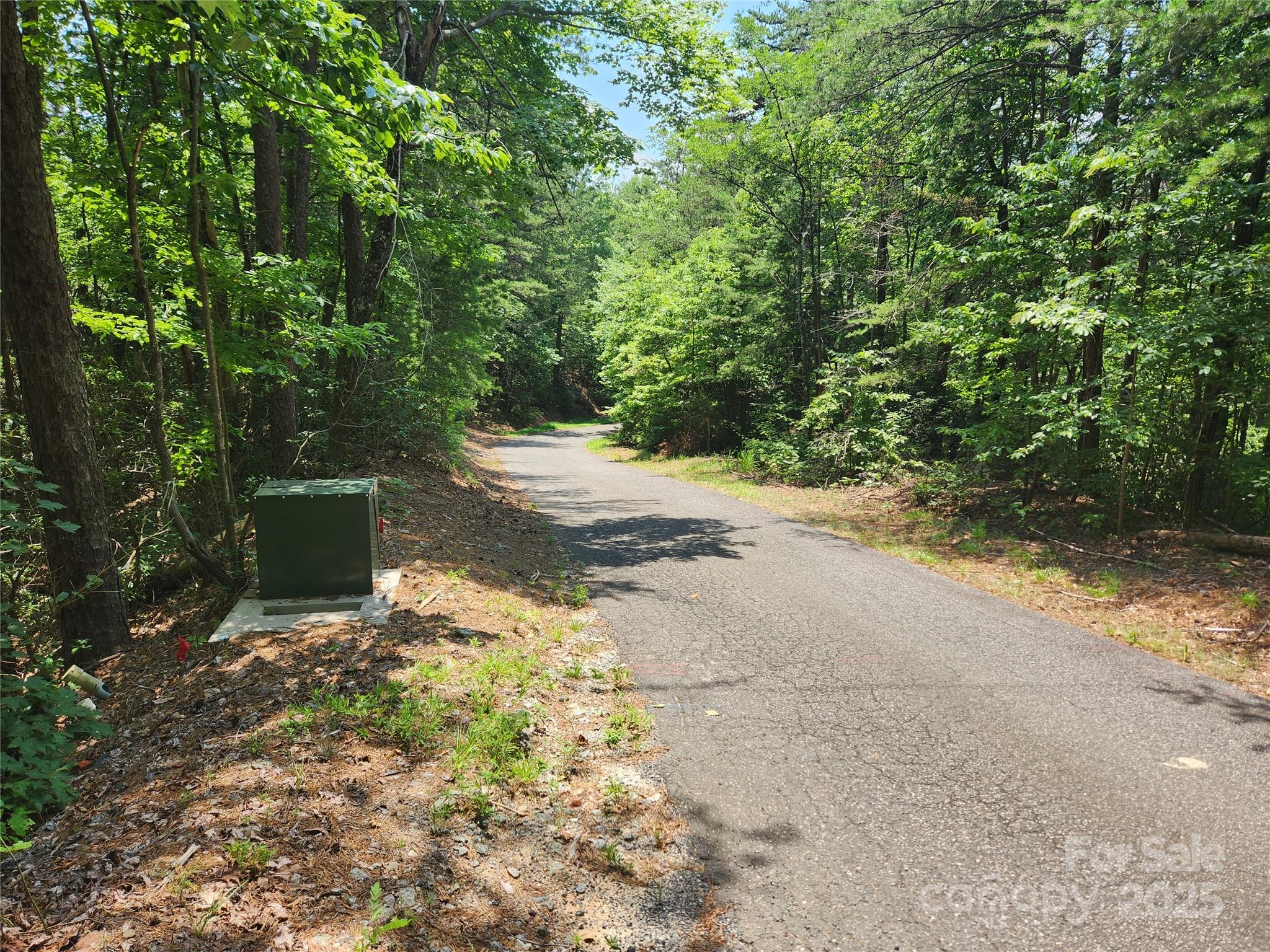 Lot 117, 118, & 132 Summit Court Lake Lure NC 28746