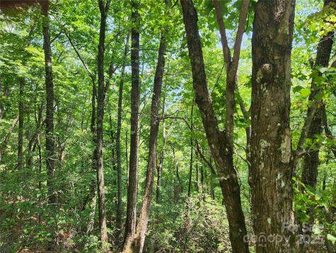 Lot 117, 118, & 132 Summit Court Lake Lure NC 28746