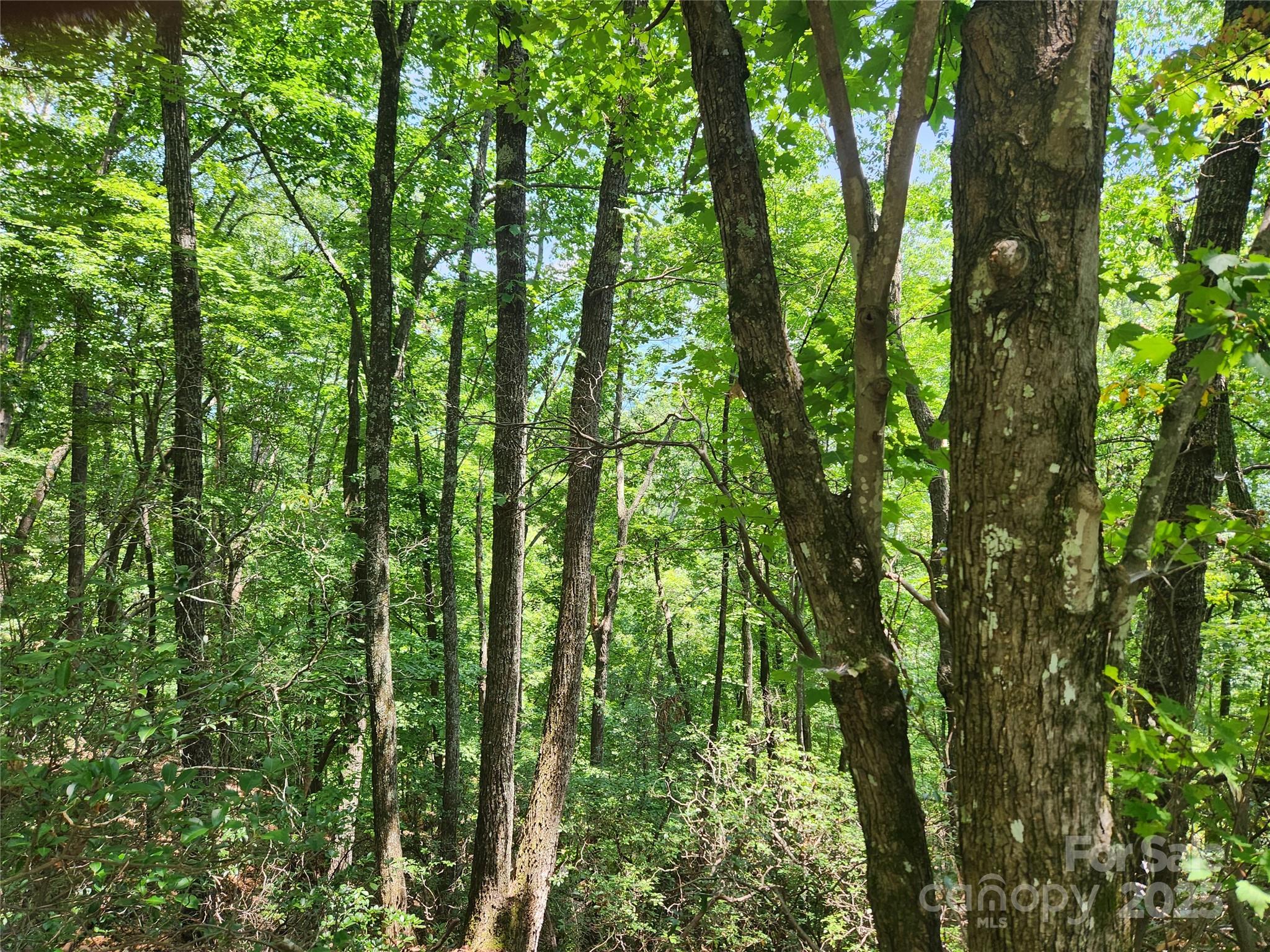 Lot 117, 118, & 132 Summit Court Lake Lure NC 28746