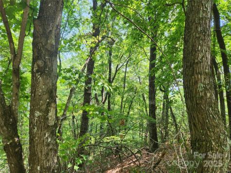 Lot 117, 118, & 132 Summit Court Lake Lure NC 28746