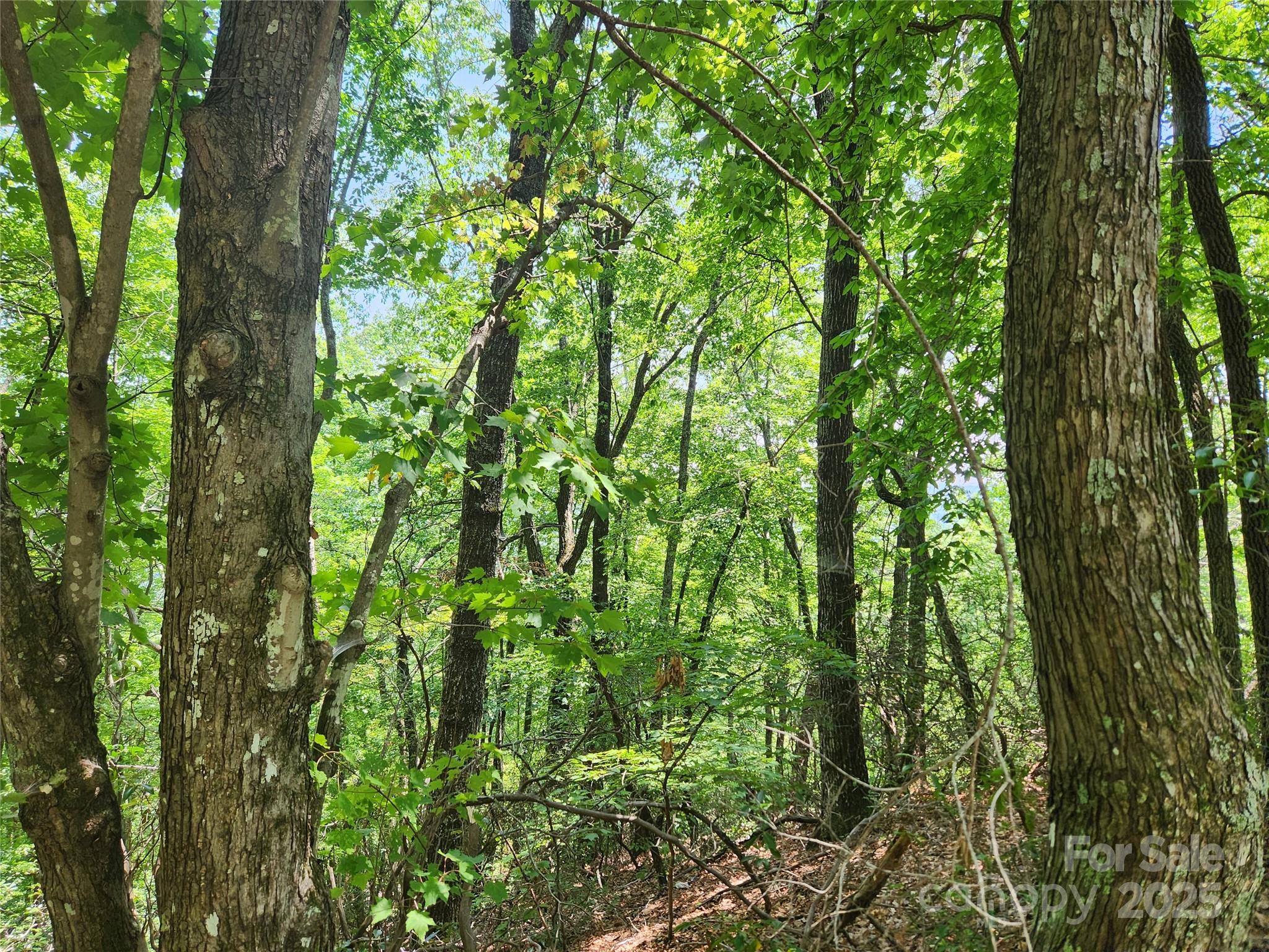 Lot 117, 118, & 132 Summit Court Lake Lure NC 28746