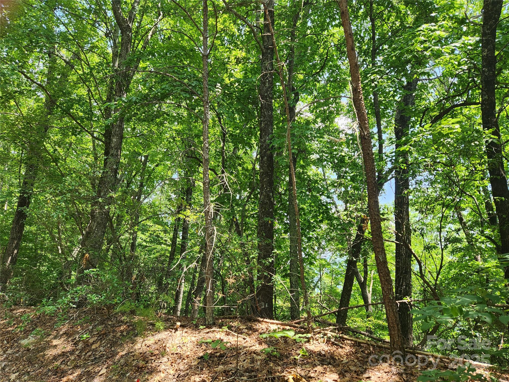 Lot 117, 118, & 132 Summit Court Lake Lure NC 28746