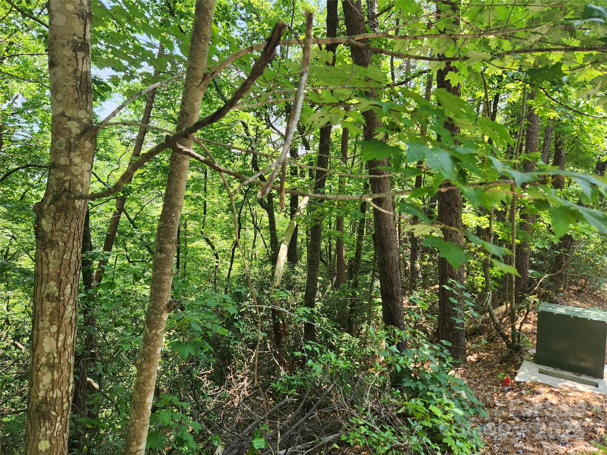 Lot 117, 118, & 132 Summit Court Lake Lure NC 28746