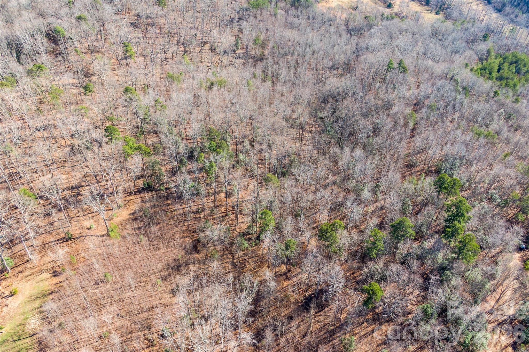 0 Ashe Drive Ellenboro NC 28040