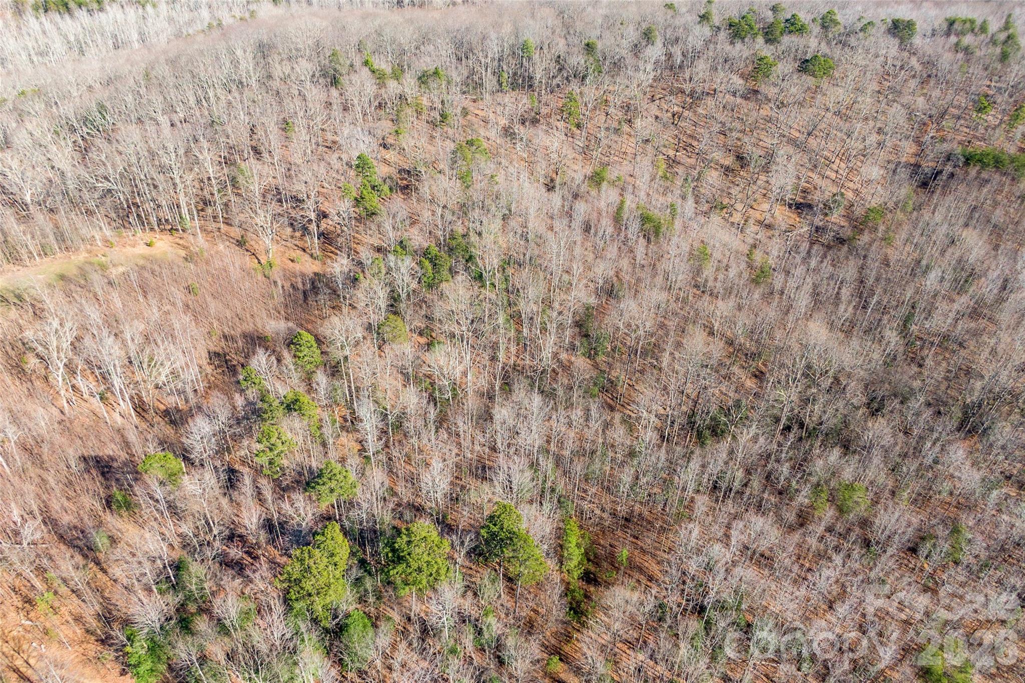 0 Ashe Drive Ellenboro NC 28040