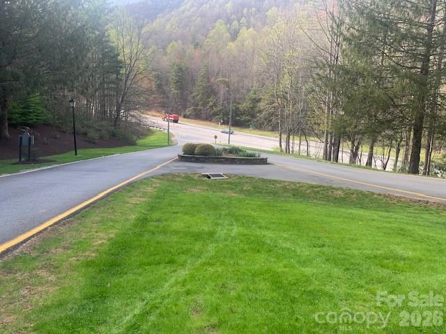Lot 92 Mountain Summit Road Zirconia NC 28790