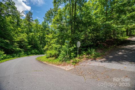Lot 177 Plantation Drive Rutherfordton NC 28139