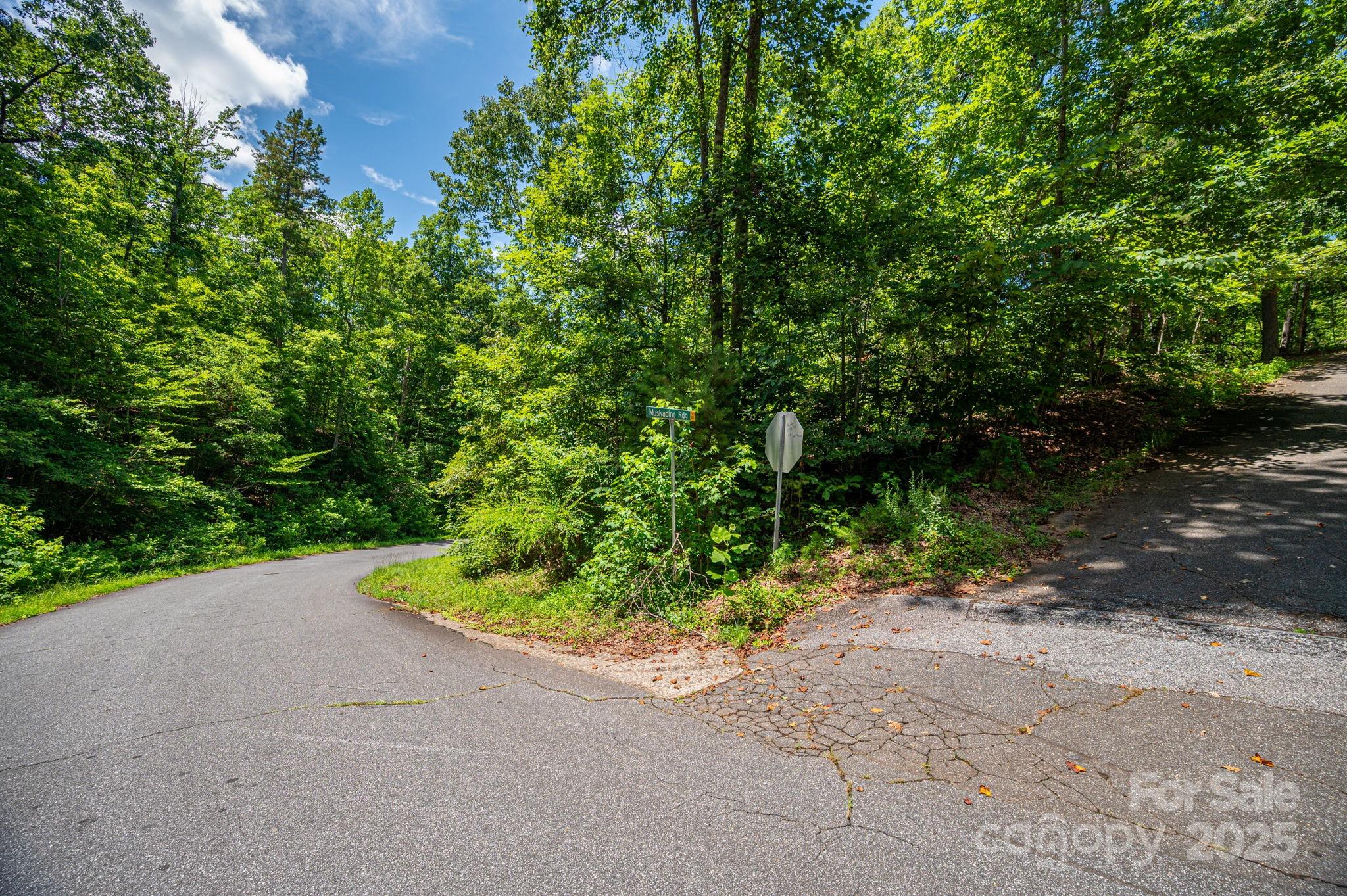 Lot 177 Plantation Drive Rutherfordton NC 28139
