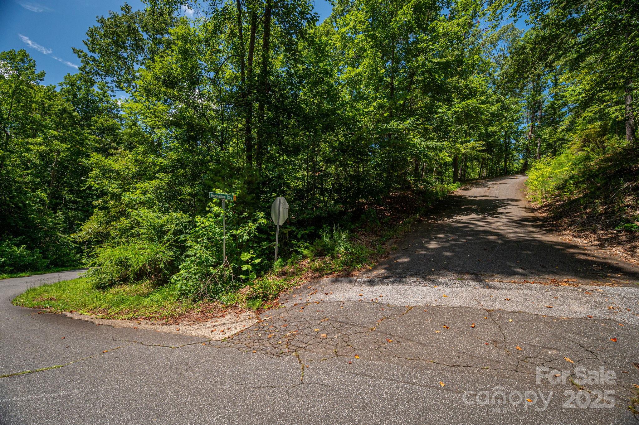 Lot 177 Plantation Drive Rutherfordton NC 28139