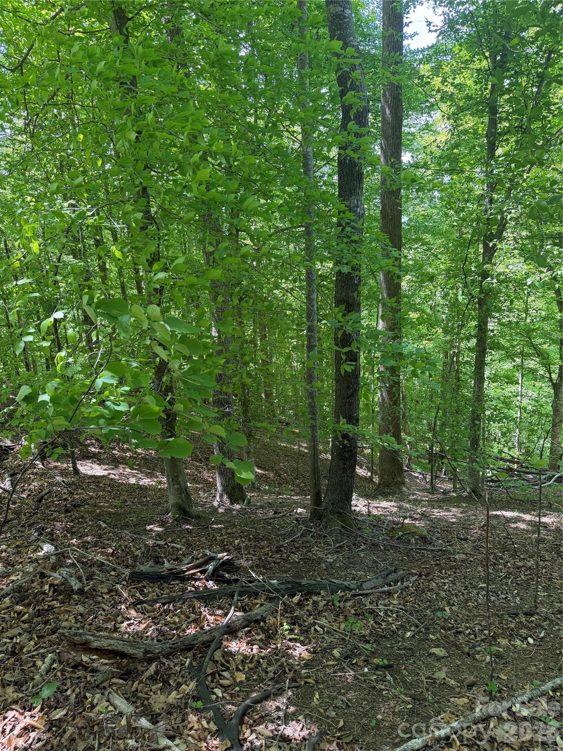 0 Creekside Circle Rutherfordton NC 28139