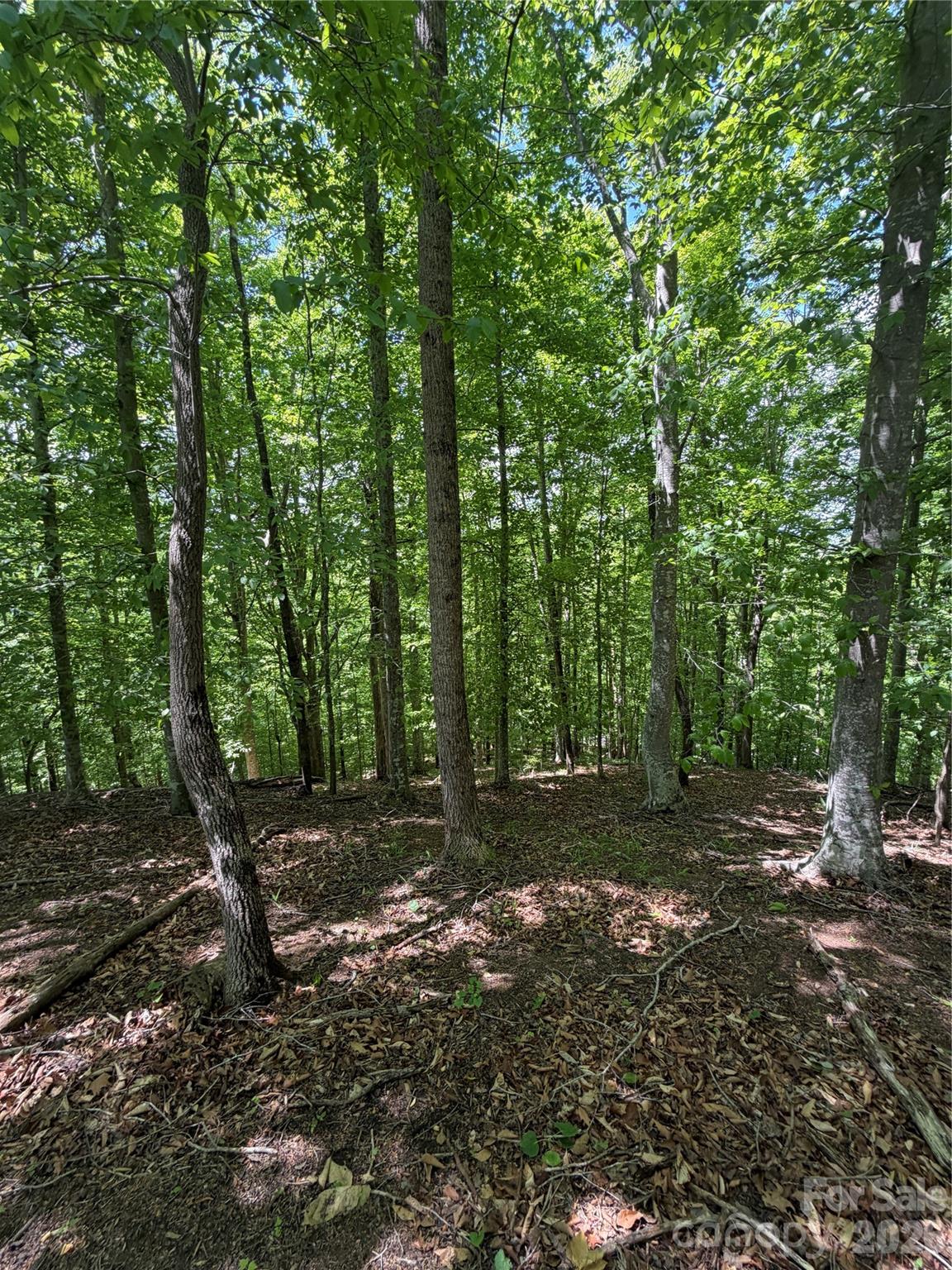 0 Creekside Circle Rutherfordton NC 28139
