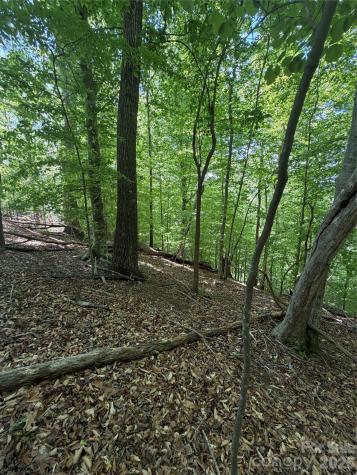 0 Creekside Circle Rutherfordton NC 28139