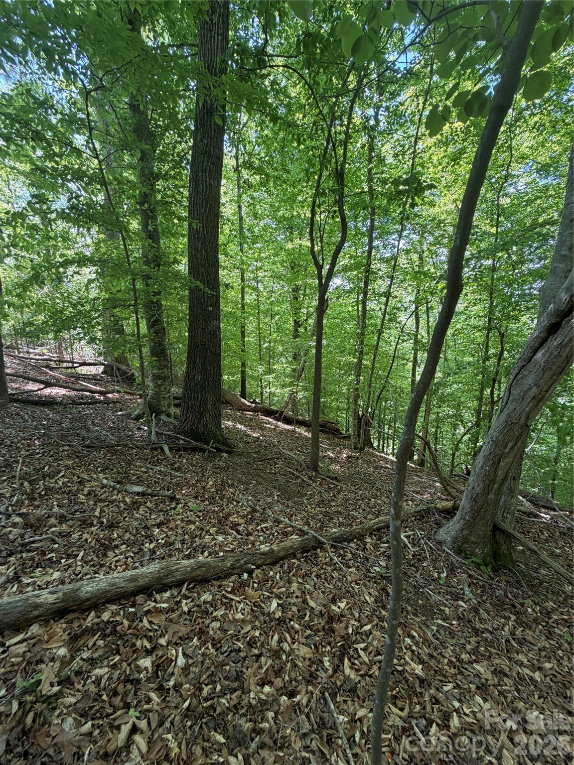 0 Creekside Circle Rutherfordton NC 28139