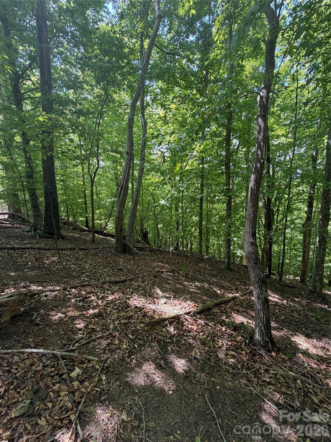 0 Creekside Circle Rutherfordton NC 28139